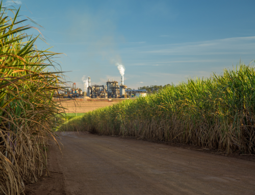 A Engenharia que move o gigante sucroenergético